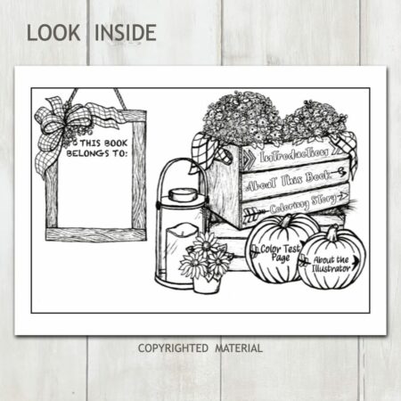 Look Inside example of table of content coloring book page